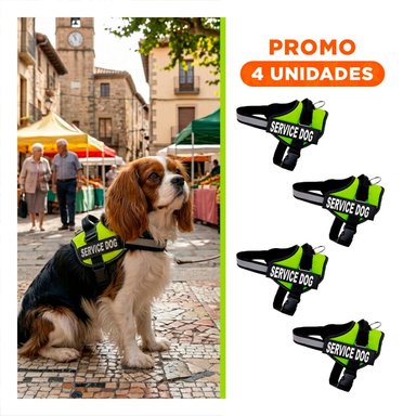 PACK4 CINTURON CANINO SERVICE DOG TALLA S VERDE SOPORTE SEGURO Y+REGALO STICKER - 1