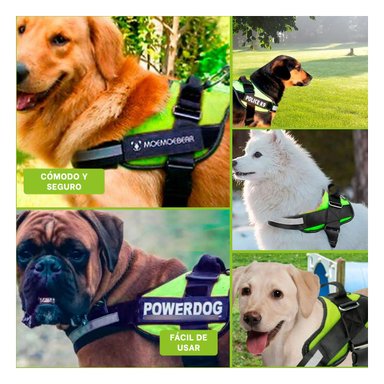 PACK4 CINTURON CANINO SERVICE DOG TALLA S VERDE SOPORTE SEGURO Y+REGALO STICKER - 2