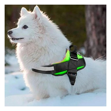 PACK4 CINTURON CANINO SERVICE DOG TALLA S VERDE SOPORTE SEGURO Y+REGALO STICKER - 3