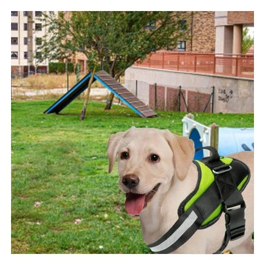 PACK4 CINTURON CANINO SERVICE DOG TALLA S VERDE SOPORTE SEGURO Y+REGALO STICKER - 5