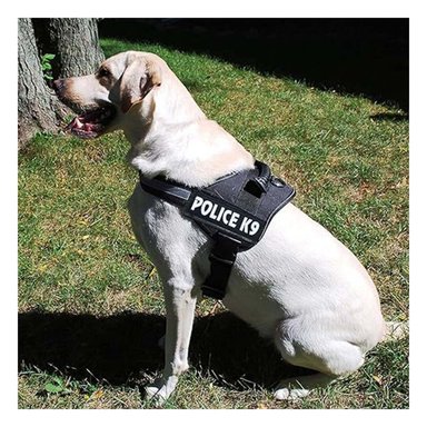 PACK4 ARNES COMODO SERVICE DOG TALLA XXL NEGRO PASEOS LARGOS - 2