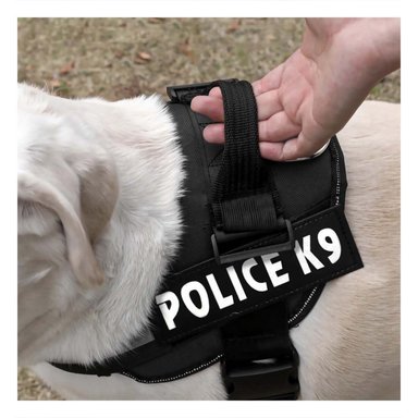 PACK4 ARNES COMODO SERVICE DOG TALLA XXL NEGRO PASEOS LARGOS - 3