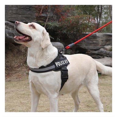 PACK4 ARNES COMODO SERVICE DOG TALLA XXL NEGRO PASEOS LARGOS - 5
