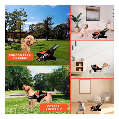PACK6 ARNES DE PASEO SERVICE DOG TALLA S ANARANJADO MASCOTA URBANA Y+PAPEL REGALO - 3