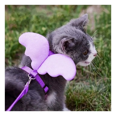 PACK12 CHALECO PARA MASCOTA CON ALITAS PEQUENAS AJUSTABLE LILA - 5