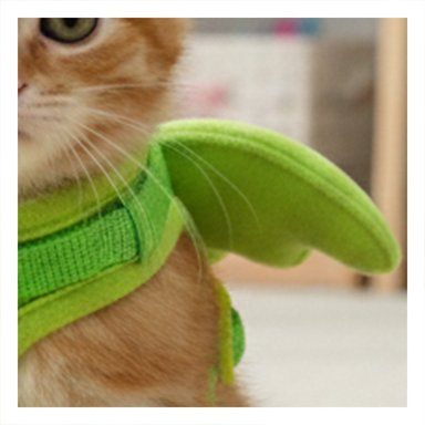 PROTECTOR REGULABLE PET CON ALITAS PEQUENAS VERDE PARA MASCOTAS PEQUENAS Y+POST IT - 3