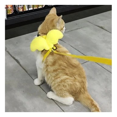 PROTECTOR AMARILLO PET CON ALITAS PEQUENAS LIGERO Y COMODO Y+REGALO STICKER - 2