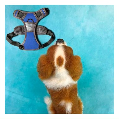 PACK2 CHALECO IMPERMEABLE PARA PERRO AZUL TALLA M IDEAL PARA LLUVIA - 3