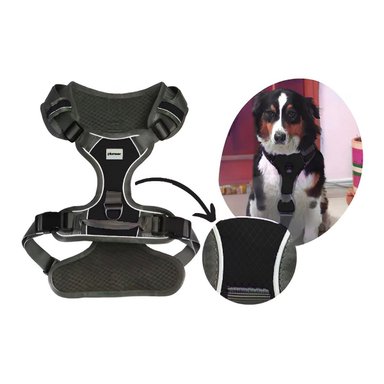 PACK6 CINTURON PARA PERRO NEGRO TALLA M CON AJUSTE RAPIDO Y RESISTENCIA Y+REGALO STICKER - 2