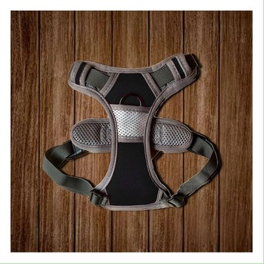 PACK6 CINTURON PARA PERRO NEGRO TALLA M CON AJUSTE RAPIDO Y RESISTENCIA Y+REGALO STICKER - 3
