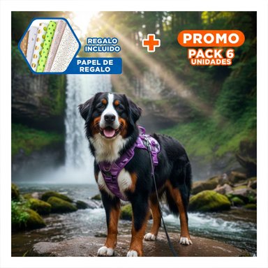 PACK6 CHALECO PARA MASCOTA ACTIVA MORADO TALLA L FACIL DE AJUSTAR Y+PAPEL REGALO - 1