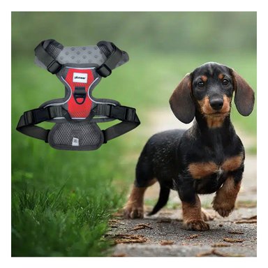 PECHERA LIGERA PARA PERRO ROJO TALLA M COMODA Y PRACTICA EN CADA SALIDA Y+PAPEL REGALO - 2