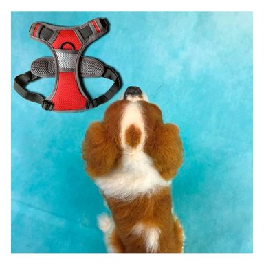 PECHERA LIGERA PARA PERRO ROJO TALLA M COMODA Y PRACTICA EN CADA SALIDA Y+PAPEL REGALO - 3