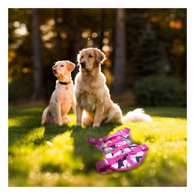 PACK4 ARNES PARA PERRO ROSADO TALLA L CON AJUSTE PERFECTO Y COMODIDAD TOTAL - 5