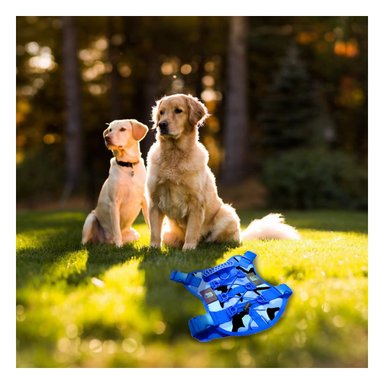 PACK6 ARNES PARA PERRO MEDIANO AZUL TACTICO TALLA XL COMODO Y FACIL DE AJUSTAR Y+REGALO STICKER - 3