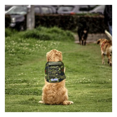 PACK6 PECHERA PARA PERRO ACTIVO VERDE OSCURO TALLA L COMODA Y RESISTENTE PARA PASEOS - 3