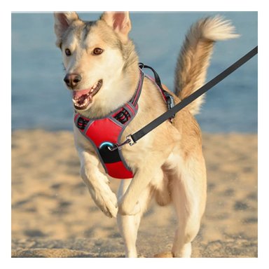PACK2 ARNES PARA PERRO CON DISEÑO AJUSTABLE Y MATERIAL CONFORTABLE PARA MASCOTAS - 2