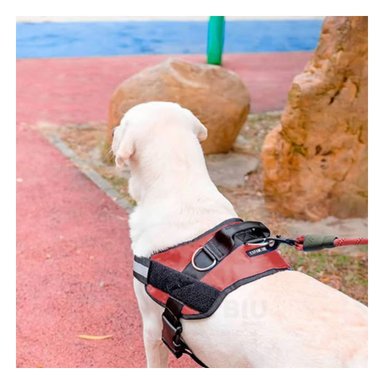 PACK2 ARNES PARA PERRO CON DISEÑO AJUSTABLE Y MATERIAL CONFORTABLE PARA MASCOTAS - 5
