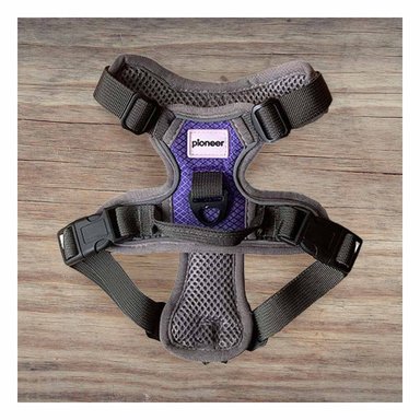 PACK4 CORREA DE PASEO PARA PERRO MORADO TALLA S SEGURA Y+PAPEL REGALO - 5