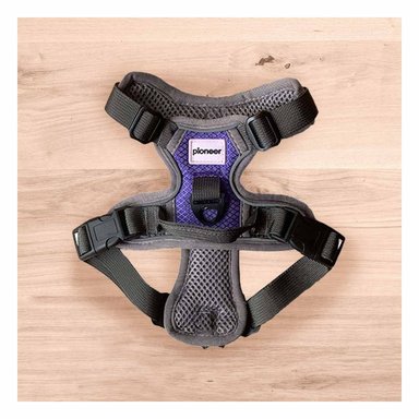 PACK4 CORREA TIPO PECHERA PARA PERRO MORADO TALLA S - 2