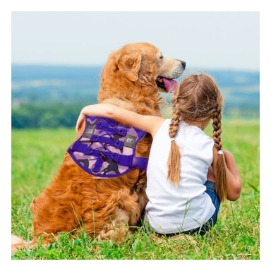 PACK4 ESTABLE PECHERA TACTICO PARA PERRO MORADO AJUSTABLE PARA PASEOS Y ENTRENAMIENTO - 3