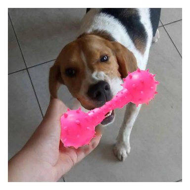 PACK4 HUESO ROSADO TEXTURIZADO PARA ESTIMULAR JUEGO INDEPENDIENTE Y+REGALO STICKER - 5