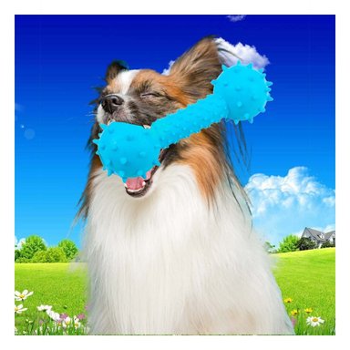 PACK4 HUESO DE JEBE CELESTE CON RELIEVE Y BOLAS PARA JUEGO CONTINUO - 5