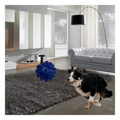 JUGUETE PARA PERRO AZUL FORMA DE CHIRIMOLLA CON DISENO FUNCIONAL Y+POST IT - 3