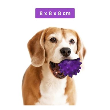 PACK12 JUGUETE CANINO MORADO CHICO TIPO CHIRIMOLLA PARA ACTIVIDAD Y+REGALO STICKER - 4
