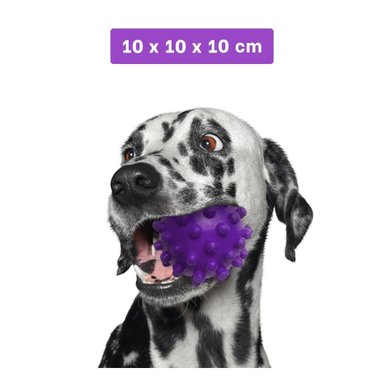 PACK4 DISPOSITIVO DE JUEGO MORADO GRANDE PARA PERROS CON MATERIAL DURABLE Y+REGALO STICKER - 4