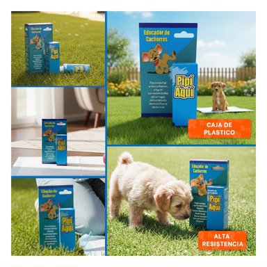 PACK6 PULVERIZADOR DE ADIESTRAMIENTO Y LIMPIEZA PARA CACHORROS CELESTE Y+PAPEL REGALO - 3