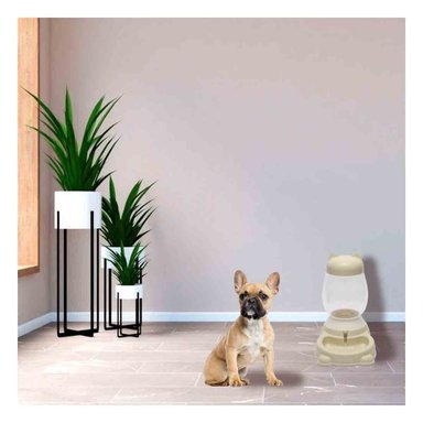 PACK6 FUENTE BEIGE CON BIDON AUTOMATICO EN GATO PARA MASCOTAS COMODAS Y+PAPEL REGALO - 2