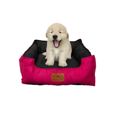 CAMA FUCSIA PARA PERRO TALLA S CON CENTRO NEGRO Y+LIGAS REGALO - 3
