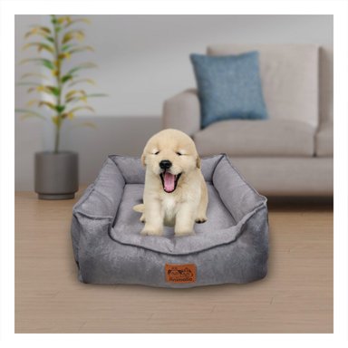 PACK2 ALMOHADON PLOMO PARA PERRO TALLA S CON COMPLETO - 3