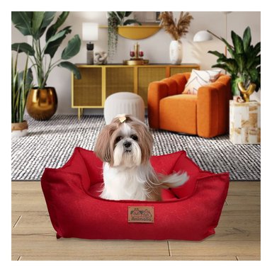 PACK4 BASE ROJO PARA PERRO TALLA S CON COMPLETO - 2