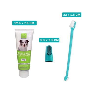 PACK2 PACK HIGIENE DENTAL VERDE AGUA FUNCIONAL CON ACCESORIOS PARA CASA - 4