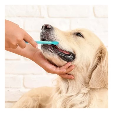 PACK2 ESTUCHE HIGIENE DENTAL VERDE AGUA PORTATIL CON ACCESORIOS PERSONALES Y+REGALO STICKER - 3