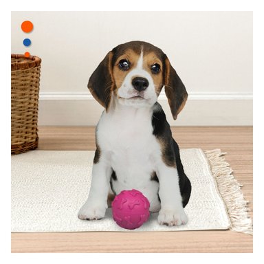 PACK2 JUGUETE CANINO PET PARA ACTIVIDAD FISICA CON HUESITOS FUCSIA Y+PAPEL REGALO - 5
