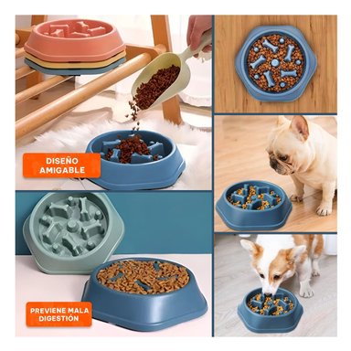 BANDEJA ANTIESTRES CON HUESITOS PARA MASCOTAS EXAGONAL AZUL Y+POST IT - 5