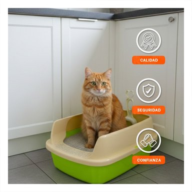 PACK4 BANDEJA SANITARIA ABIERTA PARA HIGIENE DIARIA DE GATOS VERDE LIMÓN - 3