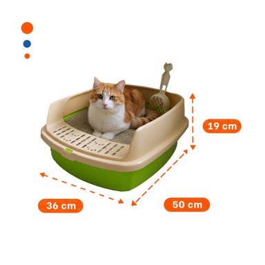 PACK4 BANDEJA SANITARIA ABIERTA PARA HIGIENE DIARIA DE GATOS VERDE LIMÓN - 4