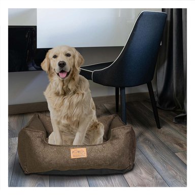 UNIDAD DE DESCANSO PARA PERRO TALLA M MARRON COMPLETO Y+REGALO STICKER - 2