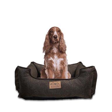 UNIDAD DE DESCANSO PARA PERRO TALLA M MARRON COMPLETO Y+REGALO STICKER - 3