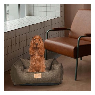 ESTRUCTURA ACOLCHADA PARA PERRO TALLA M MARRON COMPLETO - 2