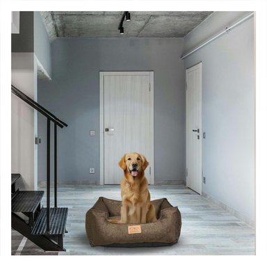 PACK6 SUPERFICIE MARRON PARA PERRO TALLA M CON COMPLETO - 2