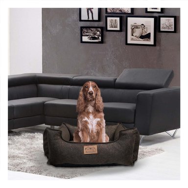 PACK6 SUPERFICIE MARRON PARA PERRO TALLA M CON COMPLETO - 5