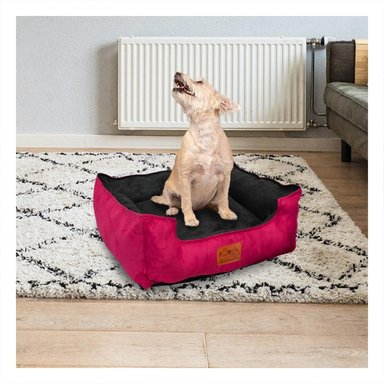 CAMA FUCSIA PARA PERRO TALLA M CON CENTRO NEGRO Y+LIGAS REGALO - 1