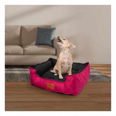 CAMA FUCSIA PARA PERRO TALLA M CON CENTRO NEGRO Y+LIGAS REGALO - 2