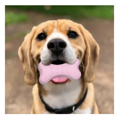 PACK4 ARTICULO HUESO PEQUENO EN ROSADO CLARO PARA MASCOTA CON MATERIAL FLEXIBLE - 2