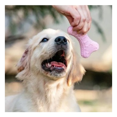 PACK4 ARTICULO HUESO PEQUENO EN ROSADO CLARO PARA MASCOTA CON MATERIAL FLEXIBLE - 3